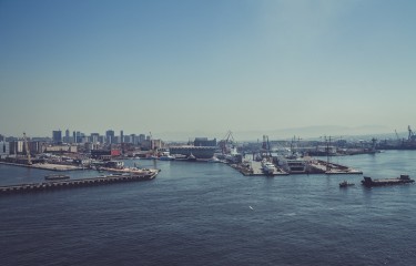 无限循环呼叫手机号软件